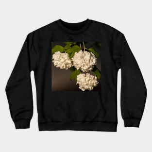 Chocolate Snowball 1 Crewneck Sweatshirt